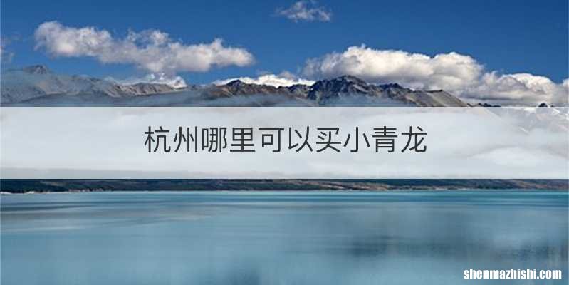 杭州哪里可以买小青龙
