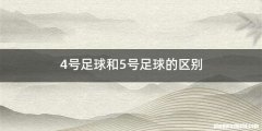 4号足球和5号足球的区别