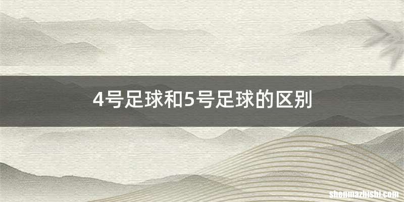 4号足球和5号足球的区别