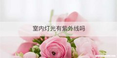室内灯光有紫外线吗