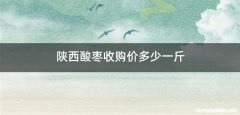 陕西酸枣收购价多少一斤