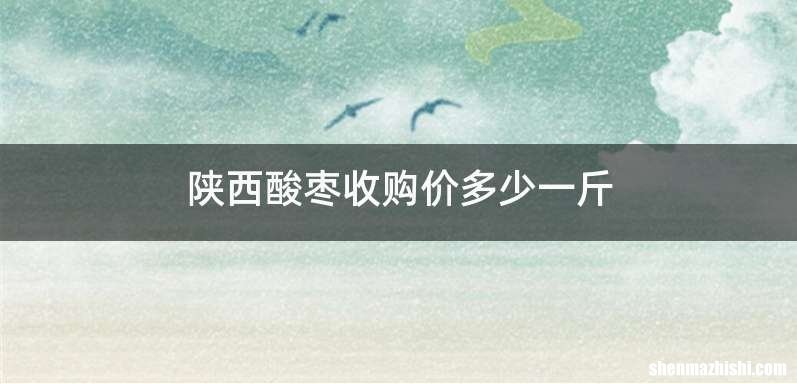陕西酸枣收购价多少一斤