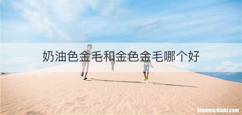 奶油色金毛和金色金毛哪个好