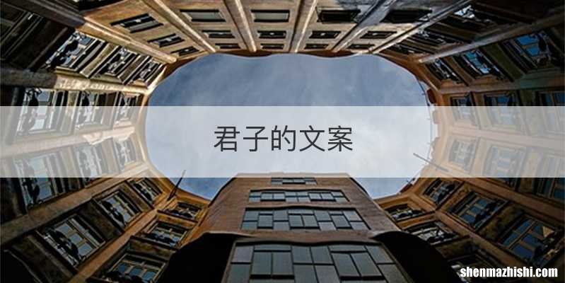 君子的文案