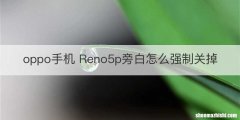 oppo手机 Reno5p旁白怎么强制关掉