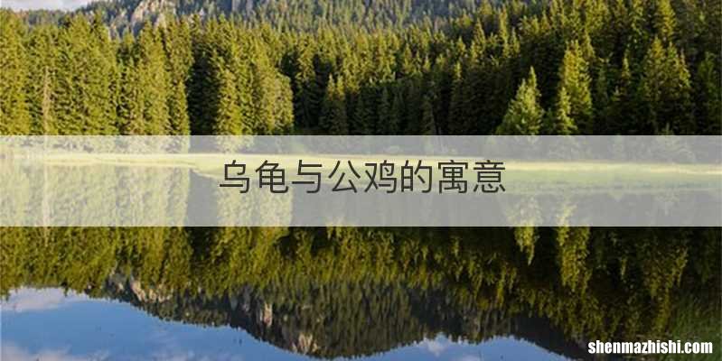 乌龟与公鸡的寓意