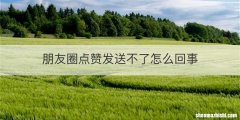 朋友圈点赞发送不了怎么回事