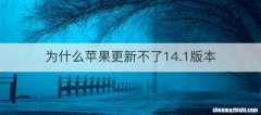 为什么苹果更新不了14.1版本