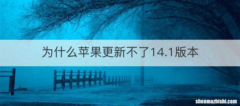为什么苹果更新不了14.1版本