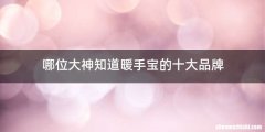 哪位大神知道暖手宝的十大品牌