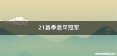 21赛季意甲冠军