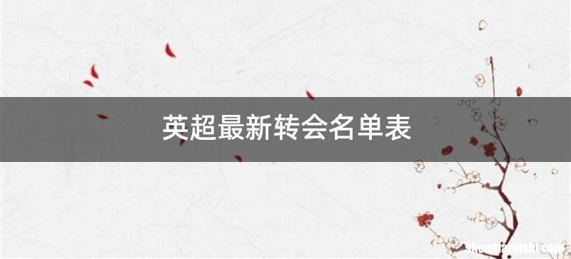 英超最新转会名单表