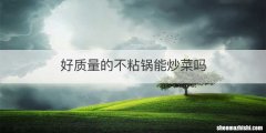 好质量的不粘锅能炒菜吗
