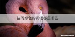 描写绿色的词语都是哪些