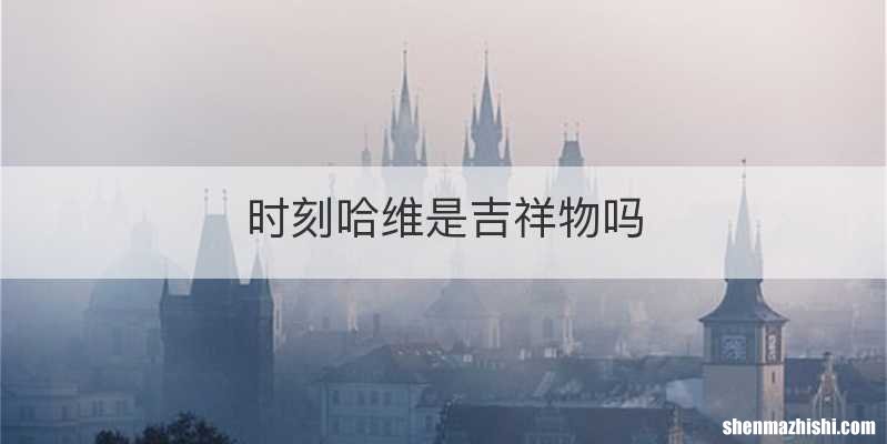 时刻哈维是吉祥物吗