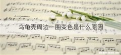 乌龟壳周边一圈变色是什么原因