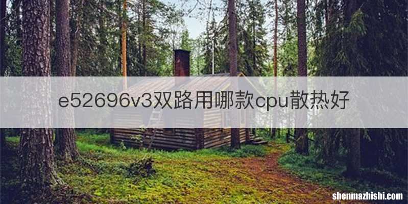 e52696v3双路用哪款cpu散热好