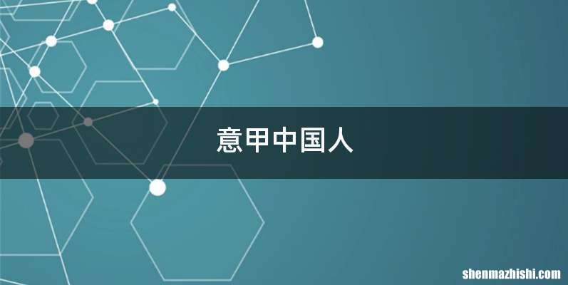 意甲中国人