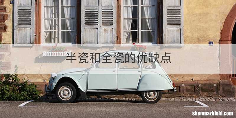 半瓷和全瓷的优缺点