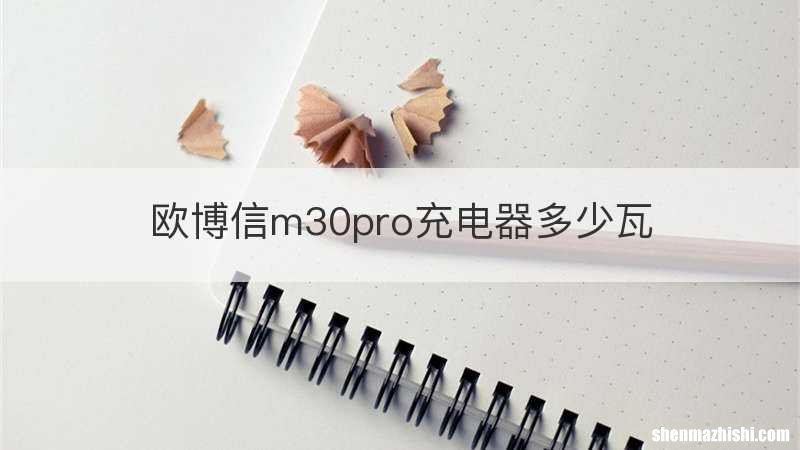 欧博信m30pro充电器多少瓦
