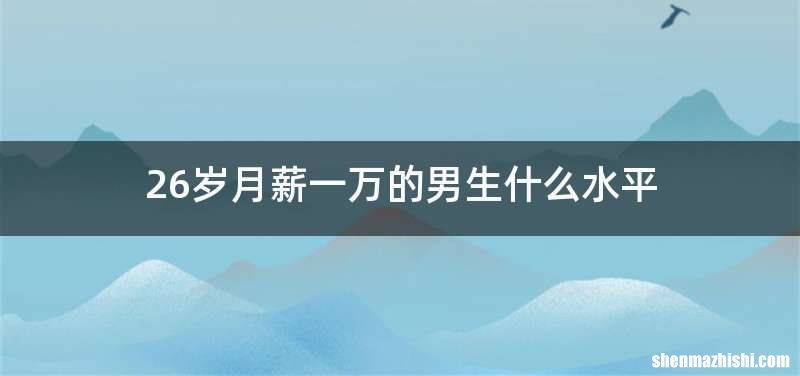 26岁月薪一万的男生什么水平