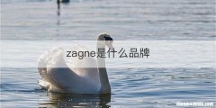 zagne是什么品牌