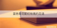 蓝色菊花配红玫瑰的花语