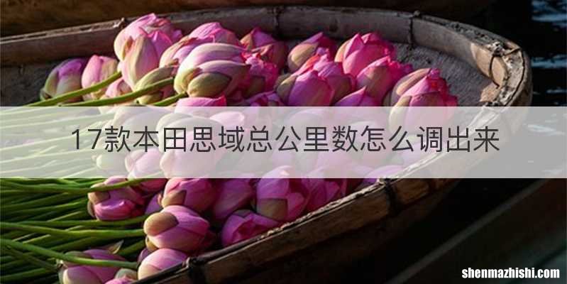 17款本田思域总公里数怎么调出来