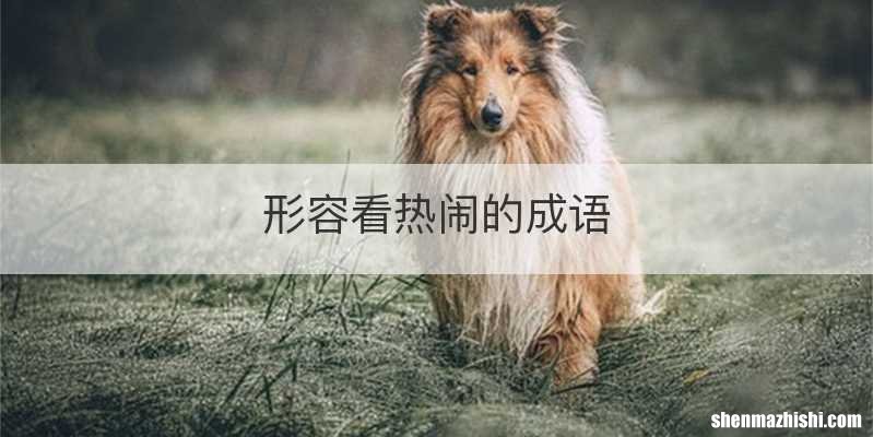 形容看热闹的成语