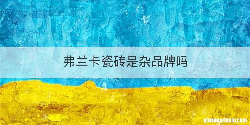 弗兰卡瓷砖是杂品牌吗
