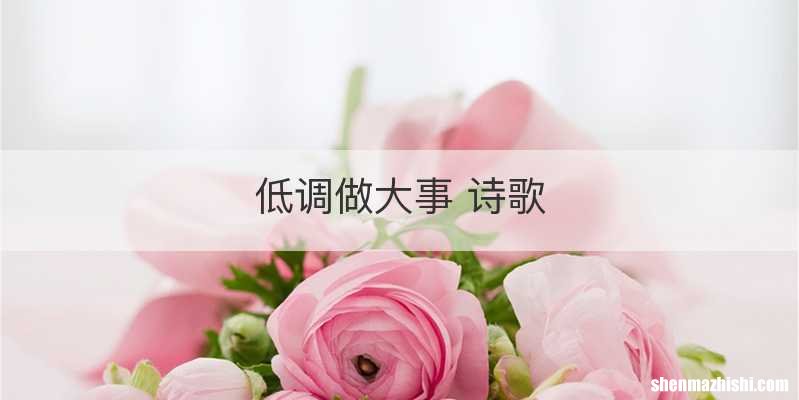 低调做大事 诗歌