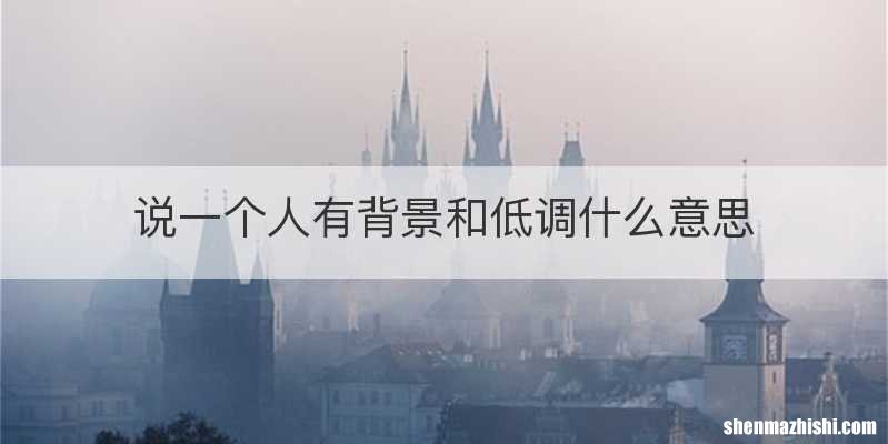 说一个人有背景和低调什么意思