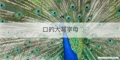 口的大写字母