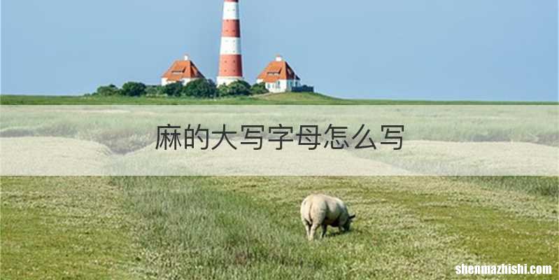 麻的大写字母怎么写