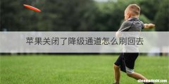 苹果关闭了降级通道怎么刷回去