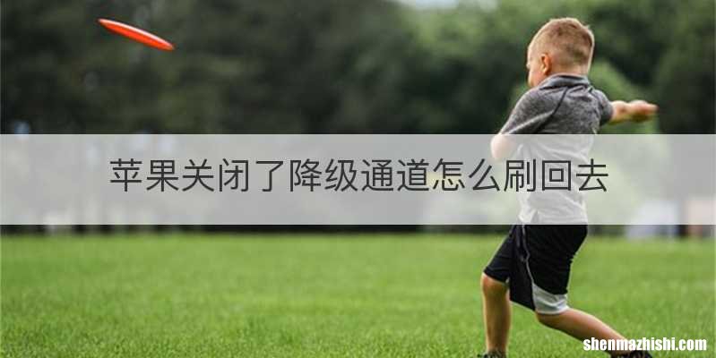 苹果关闭了降级通道怎么刷回去
