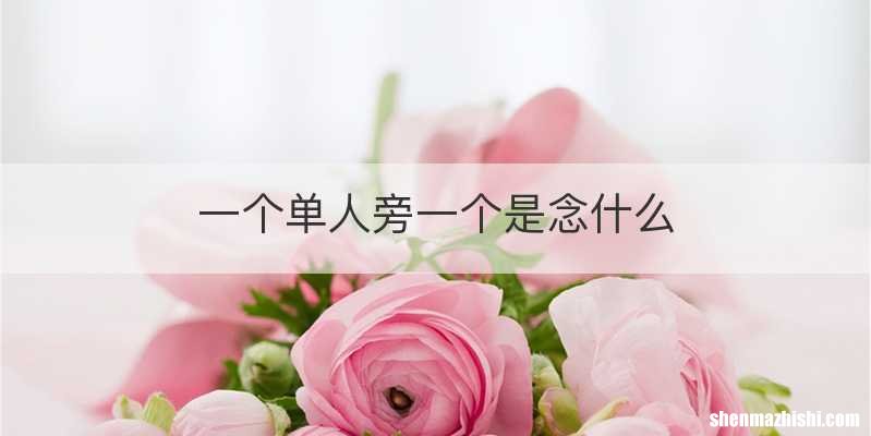 一个单人旁一个是念什么