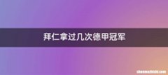拜仁拿过几次德甲冠军