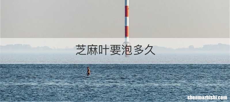 芝麻叶要泡多久