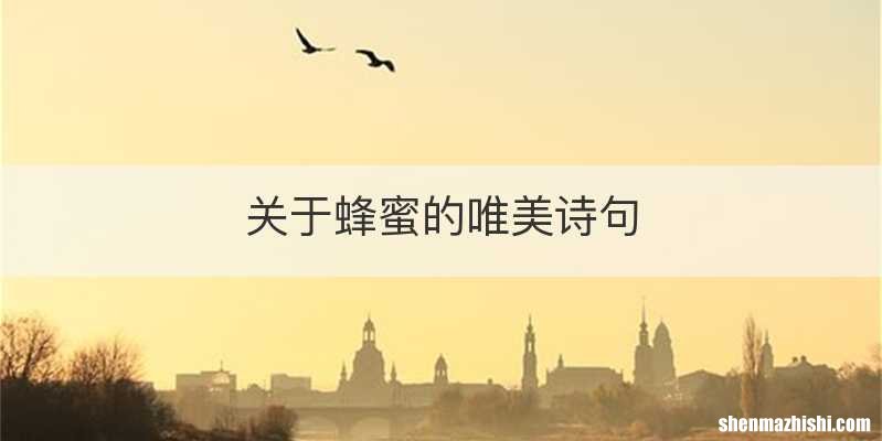 关于蜂蜜的唯美诗句