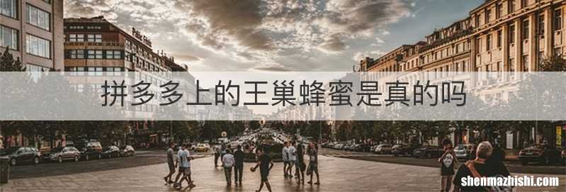 拼多多上的王巢蜂蜜是真的吗