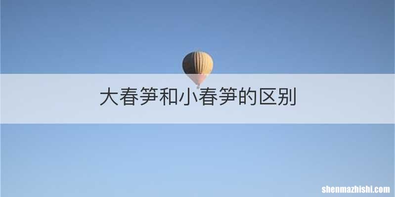 大春笋和小春笋的区别