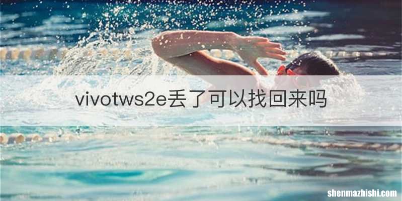 vivotws2e丢了可以找回来吗