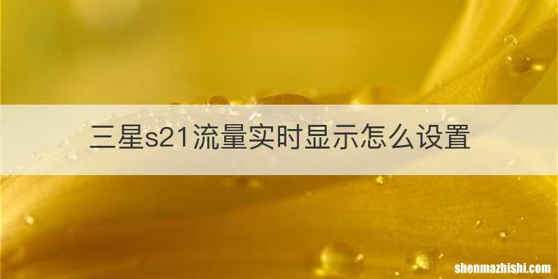 三星s21流量实时显示怎么设置