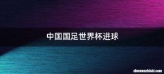 中国国足世界杯进球