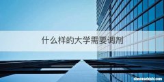 什么样的大学需要调剂