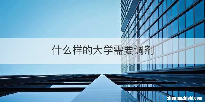 什么样的大学需要调剂