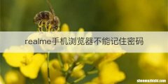realme手机浏览器不能记住密码