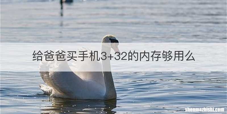 给爸爸买手机3+32的内存够用么