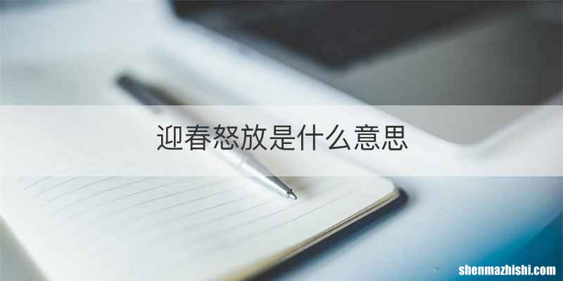 迎春怒放是什么意思